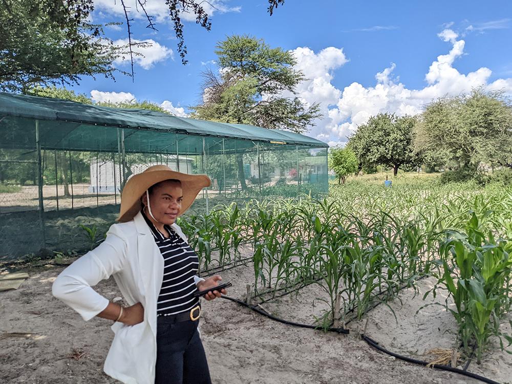 Researchers get $2M NSF grant to develop Africa water-food-energy network